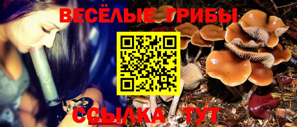 Псилоцибиновые грибы Psilocybine cubensis  Вход с VPN  Аксай 